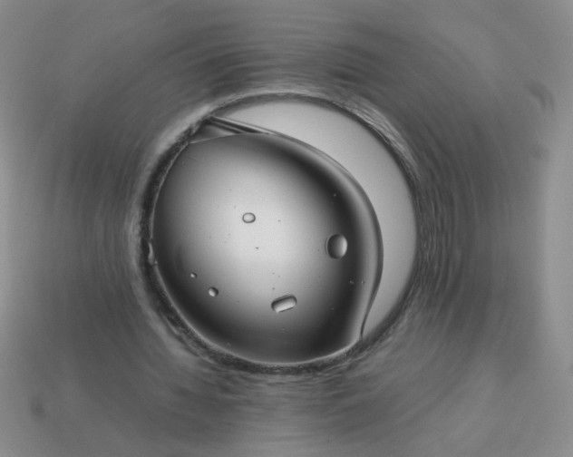 X0000114140436200910221528