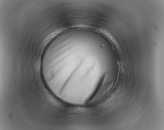 X0000114140437200910221528