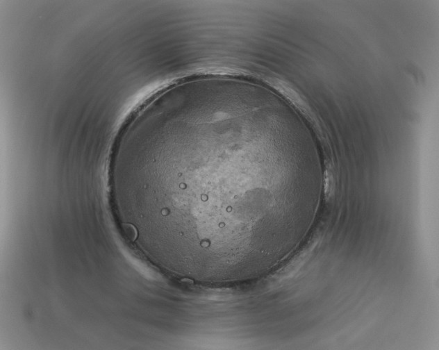 X0000114140438200910221528