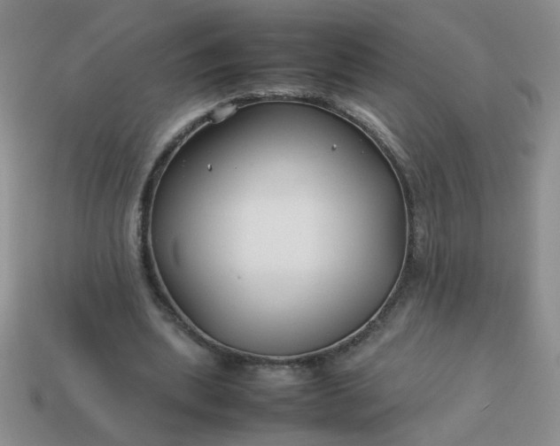 X0000114140439200910221528