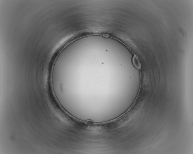 X0000114140440200910221528