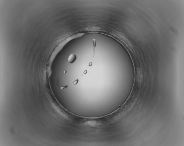 X0000114140441200910221528