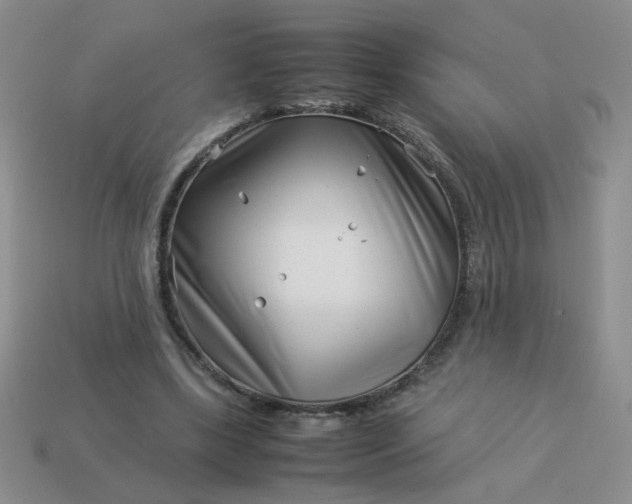 X0000114140443200910221528