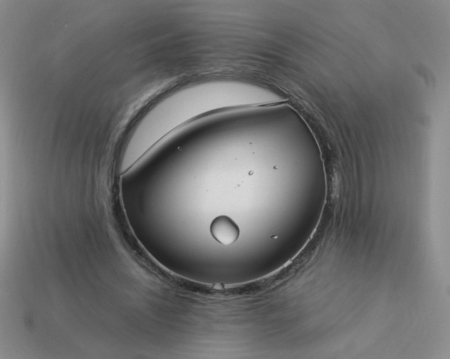 X0000114140444200910221528