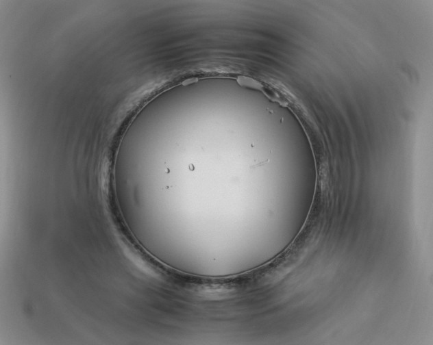 X0000114140445200910221528