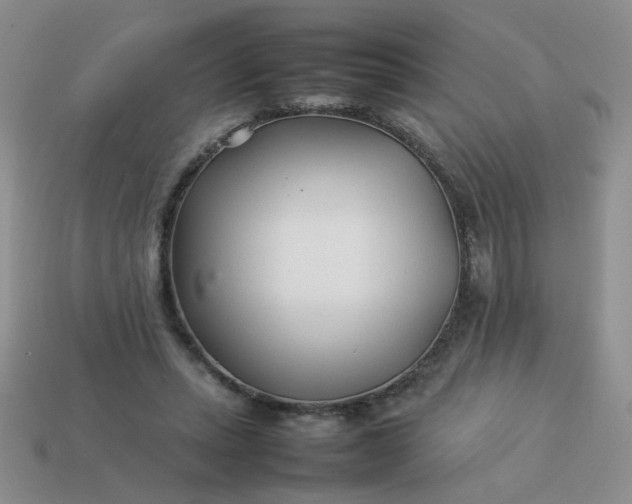 X0000114140447200910221528