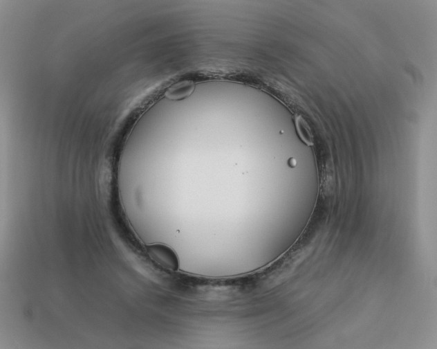 X0000114140448200910221528