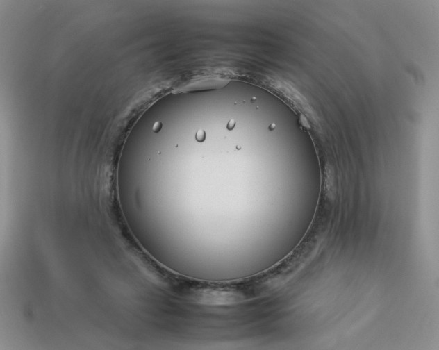 X0000114140449200910221528