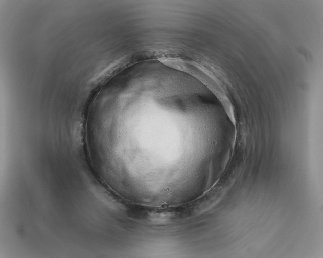 X0000114140450200910221528