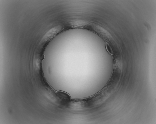 X0000114140452200910221528