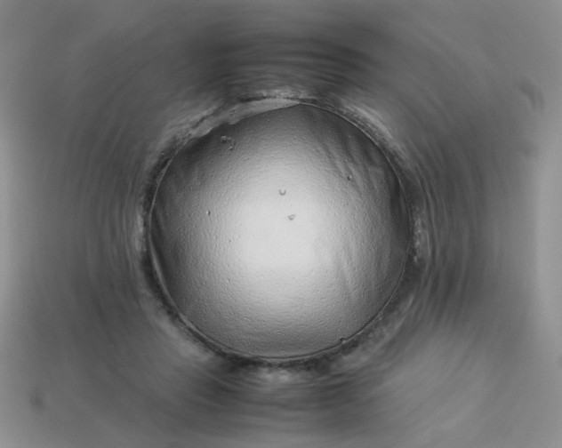 X0000114140453200910221528