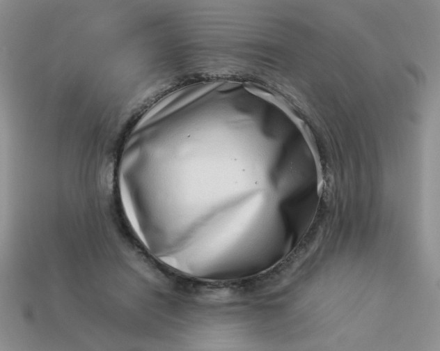 X0000114140454200910221528