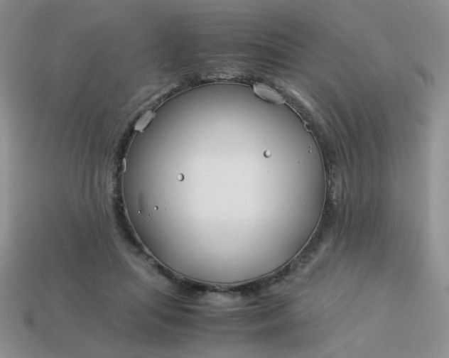 X0000114140455200910221528