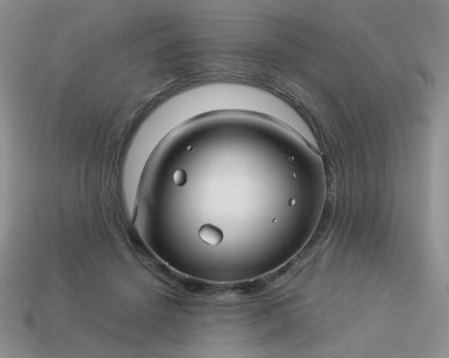 X0000114140456200910221528