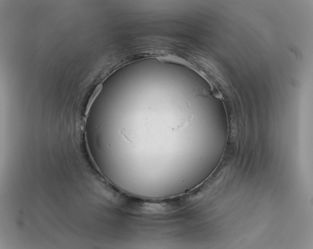 X0000114140457200910221528