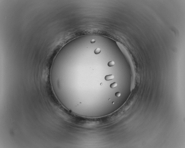 X0000114140458200910221528