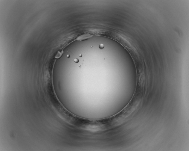 X0000114140459200910221528