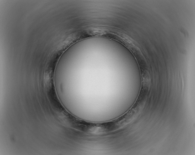 X0000114140460200910221528