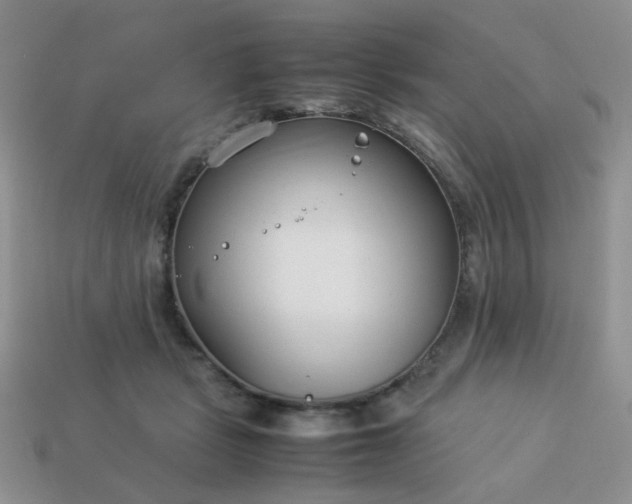 X0000114140461200910221528