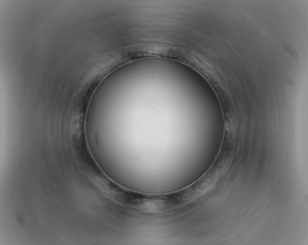 X0000114140462200910221528