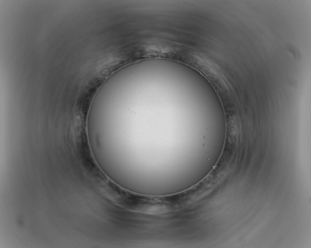 X0000114140463200910221528