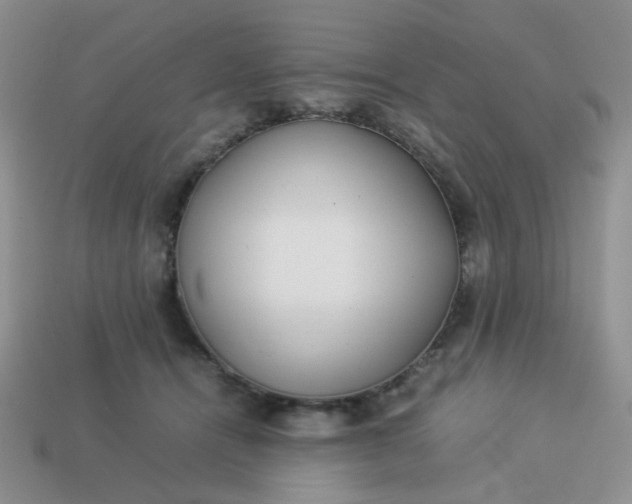 X0000114140464200910221528