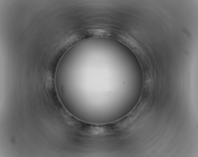 X0000114140469200910221528