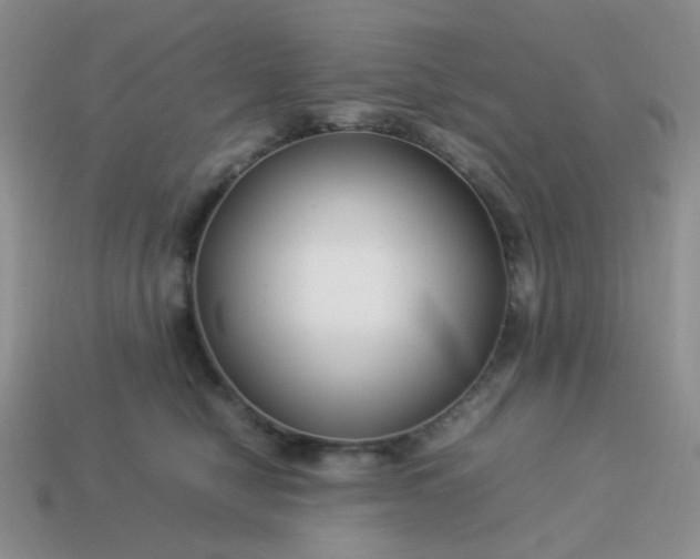 X0000114140470200910221528