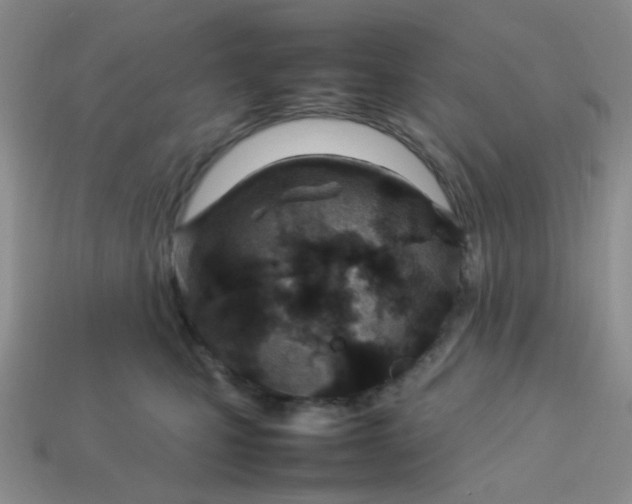 X0000114140471200910221529