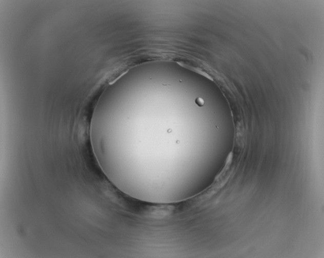 X0000114140474200910221529