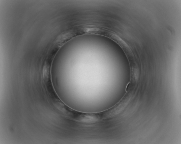 X0000114140475200910221529