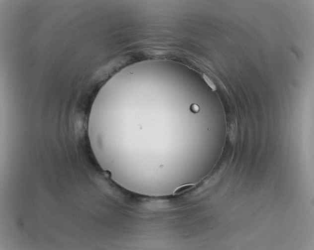 X0000114140476200910221529