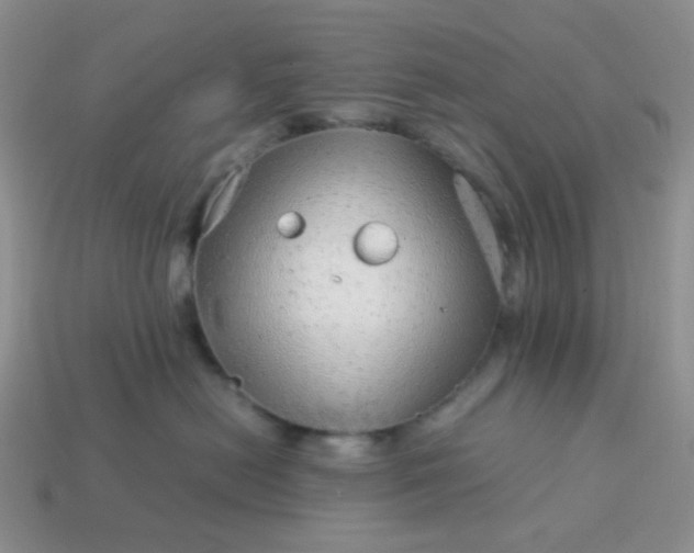 X0000114140478200910221529