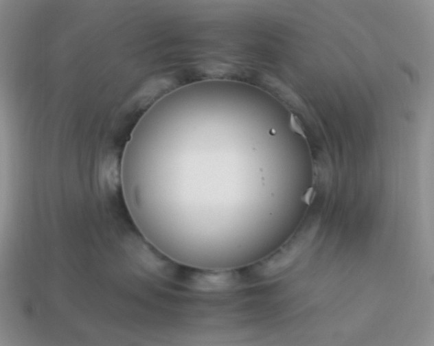 X0000114140479200910221529