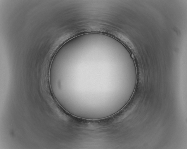 X0000114140481200910221528