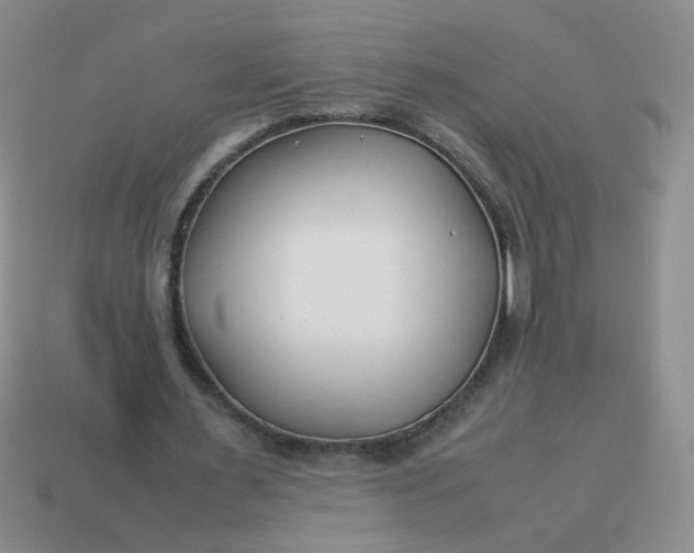 X0000114140483200910221528