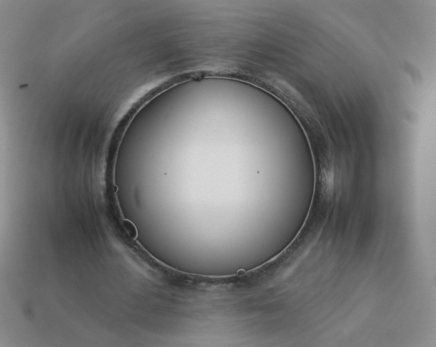 X0000114140484200910221528