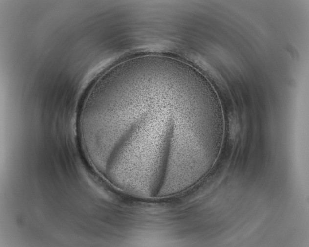 X0000114140486200910221528