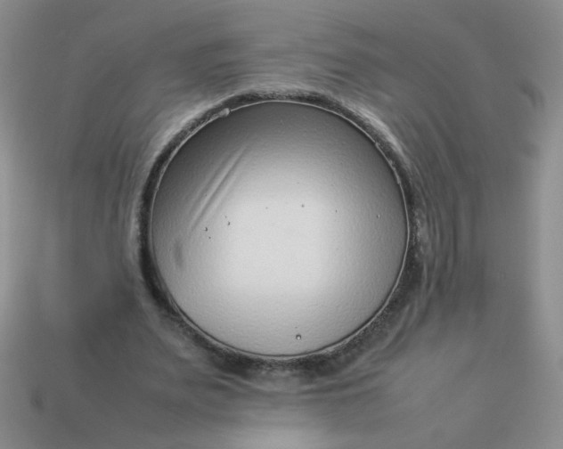 X0000114140487200910221528