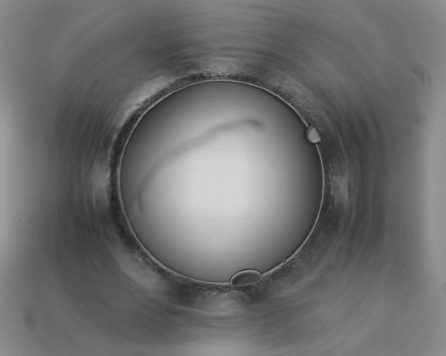 X0000114140488200910221528