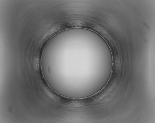 X0000114140489200910221528