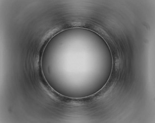 X0000114140490200910221528