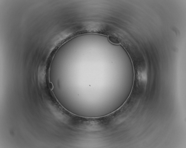 X0000114140492200910221528