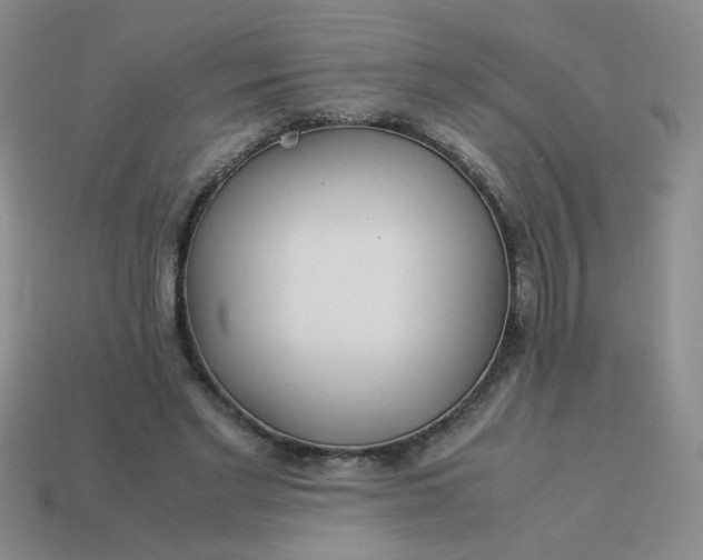 X0000114140493200910221528