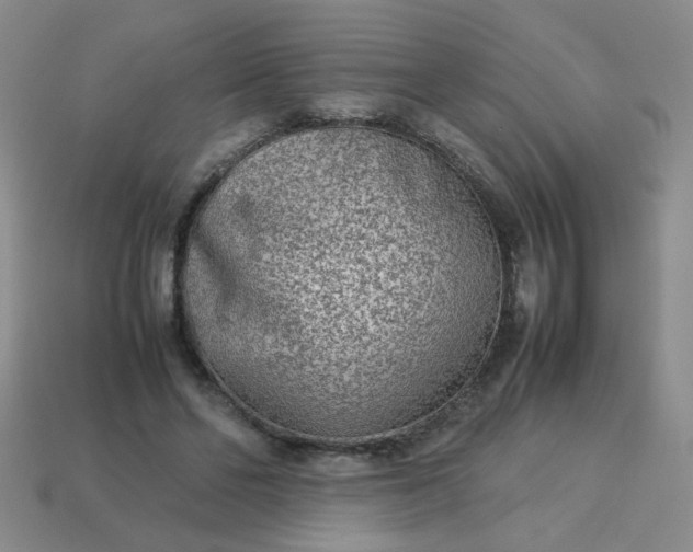 X0000114140494200910221528