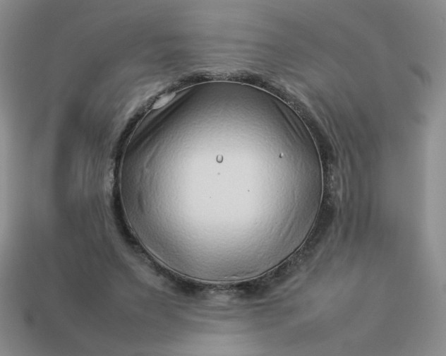 X0000114140495200910221528