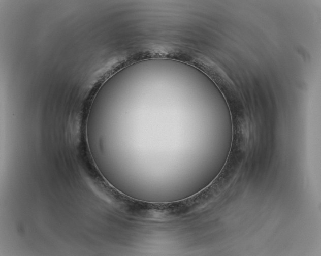 X0000114140496200910221528