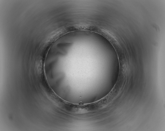 X0000114140498200910221528