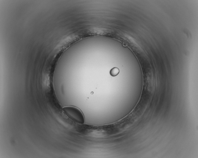 X0000114140500200910221528