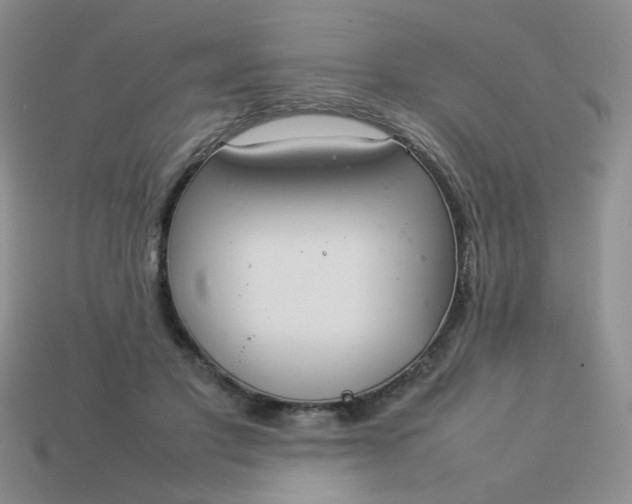 X0000114140501200910221528